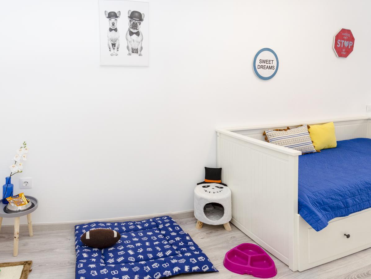 Apartup Viveros Pets 瓦伦西亚 外观 照片